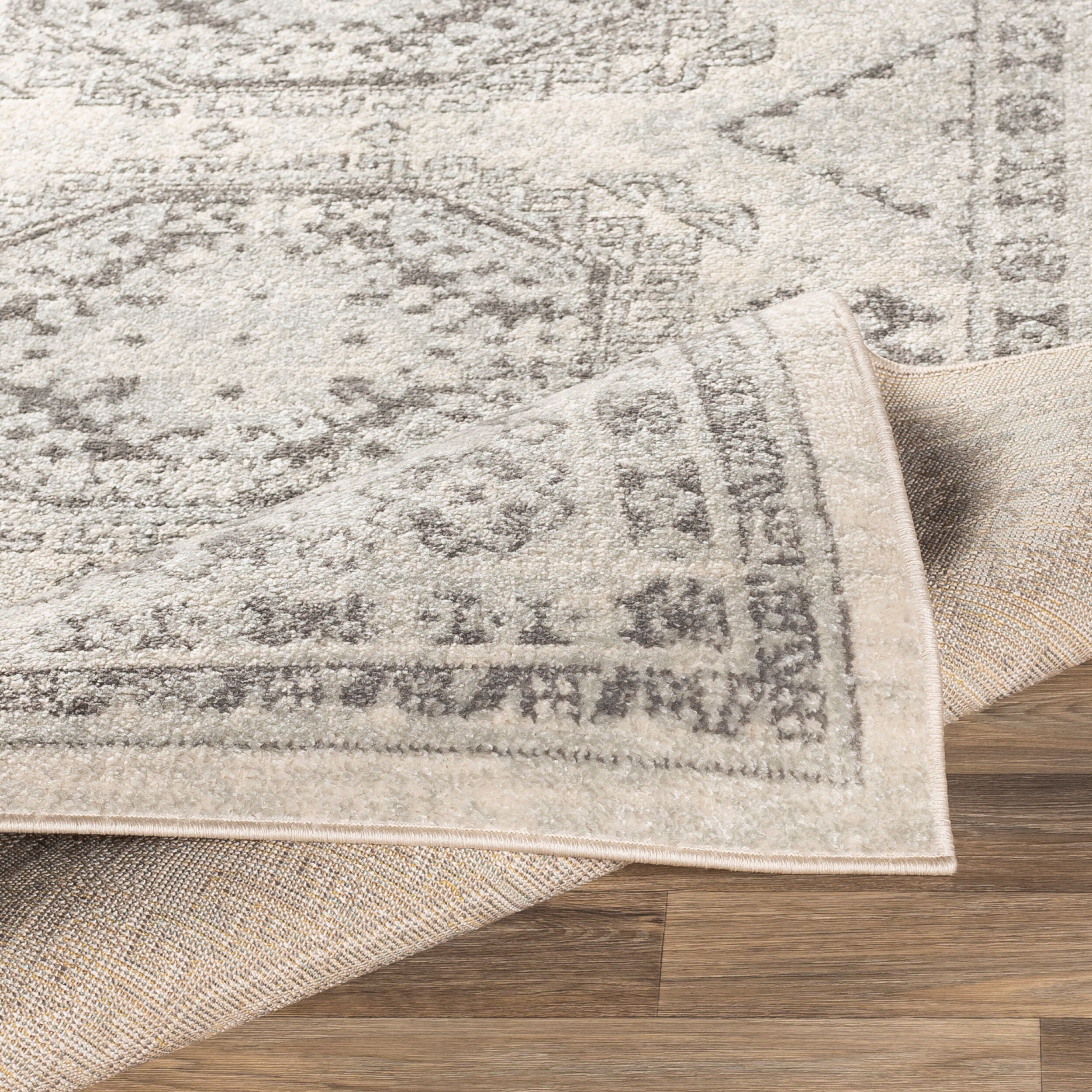 Surya Chester CHE-2309 Beige Area Rug by LIVABLISS