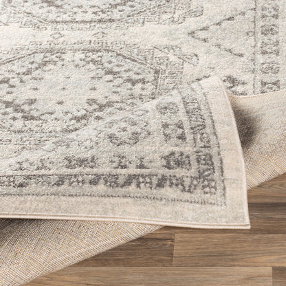 Surya Chester CHE-2309 Beige Area Rug by LIVABLISS
