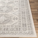 Surya Chester CHE-2309 Beige Area Rug by LIVABLISS