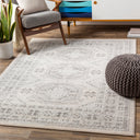 Surya Chester CHE-2309 Beige Area Rug by LIVABLISS