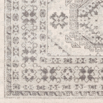 Surya Chester CHE-2309 Beige Area Rug by LIVABLISS