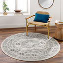 Surya Chester CHE-2309 Beige Area Rug by LIVABLISS