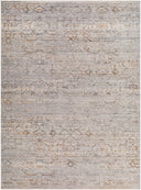 Surya Chapel Hill CHP-2300 Ivory Area Rug by LIVABLISS