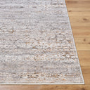 Surya Chapel Hill CHP-2300 Ivory Area Rug by LIVABLISS