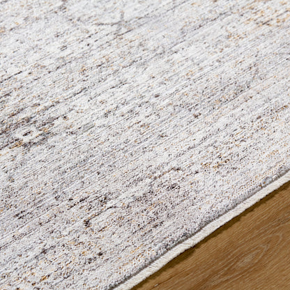 Surya Chapel Hill CHP-2300 Ivory Area Rug by LIVABLISS