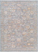 Surya Chapel Hill CHP-2302 Gray Area Rug by LIVABLISS