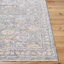 Surya Chapel Hill CHP-2302 Gray Area Rug by LIVABLISS