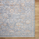 Surya Chapel Hill CHP-2302 Gray Area Rug by LIVABLISS