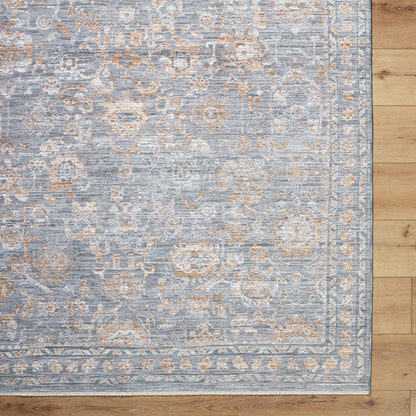 Surya Chapel Hill CHP-2302 Gray Area Rug by LIVABLISS