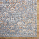 Surya Chapel Hill CHP-2302 Gray Area Rug by LIVABLISS