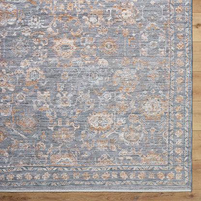 Surya Chapel Hill CHP-2302 Gray Area Rug by LIVABLISS