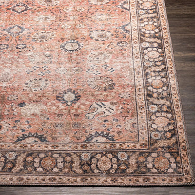 LIVABLISS Colin CLN-2301 Dusty-Coral Area Rug