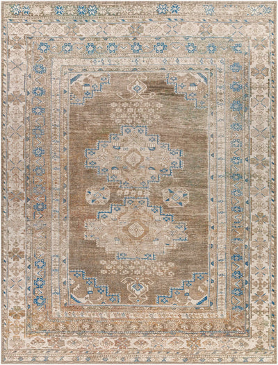 LIVABLISS Colin CLN-2303 Dusty-Sage Area Rug