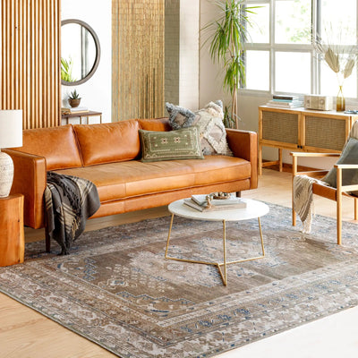 LIVABLISS Colin CLN-2303 Dusty-Sage Area Rug
