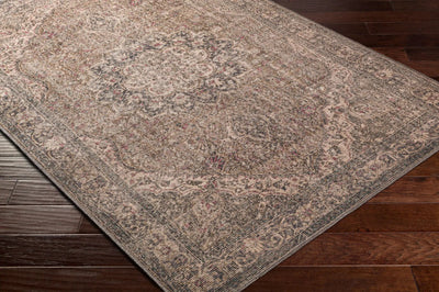 LIVABLISS Colin CLN-2309 Dusty-Sage Area Rug