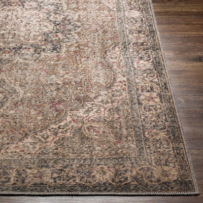 LIVABLISS Colin CLN-2309 Dusty-Sage Area Rug