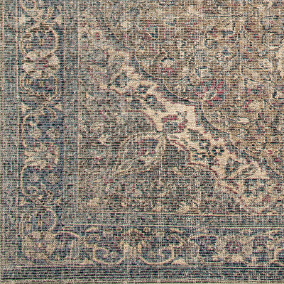 LIVABLISS Colin CLN-2309 Dusty-Sage Area Rug