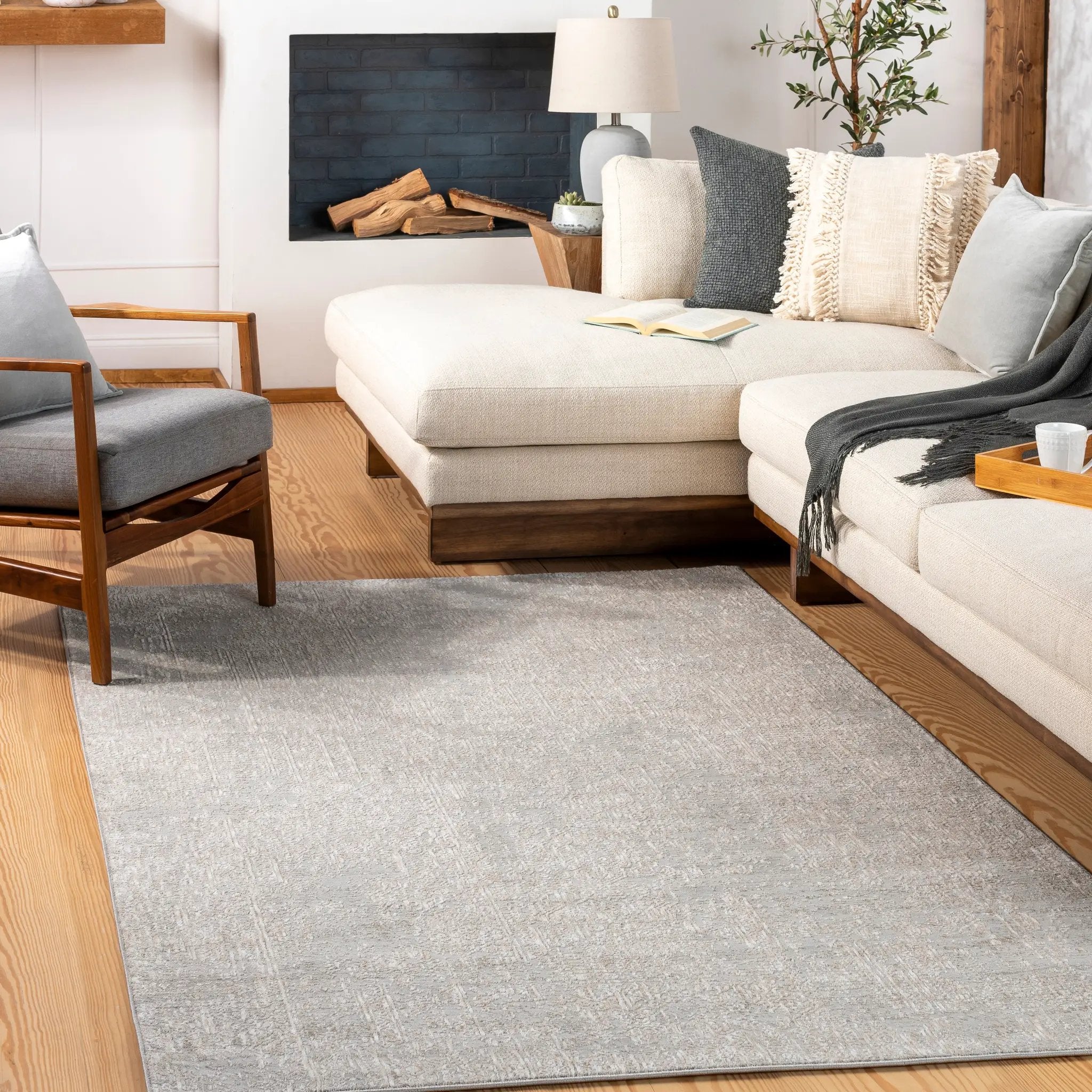 Carmel CRL-2300 Light-Gray Area Rug by LIVABLISS