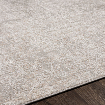Surya Carmel CRL-2300 Light Gray Area Rug by LIVABLISS
