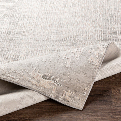 Surya Carmel CRL-2301 Light Gray Area Rug by LIVABLISS