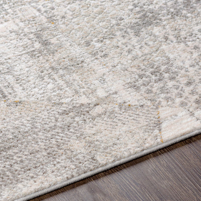 Surya Carmel CRL-2303 Light Gray Area Rug by LIVABLISS