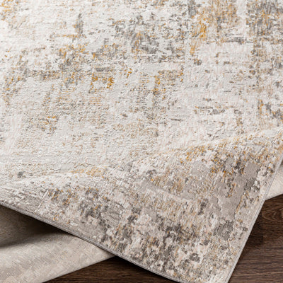 Surya Carmel CRL-2304 Light Gray Area Rug by LIVABLISS