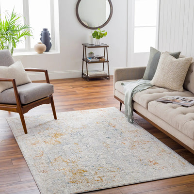 Carmel CRL-2307 Light Gray Area Rug by LIVABLISS