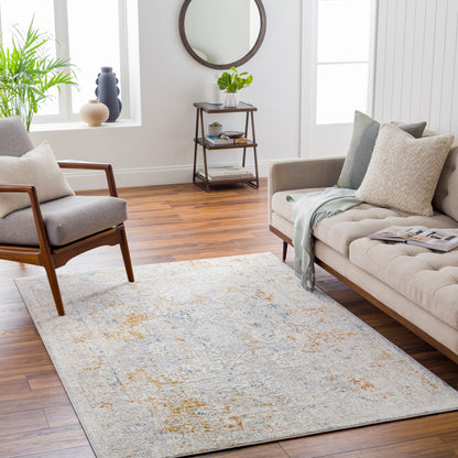 LIVABLISS Carmel CRL-2307 Light Gray Area Rug