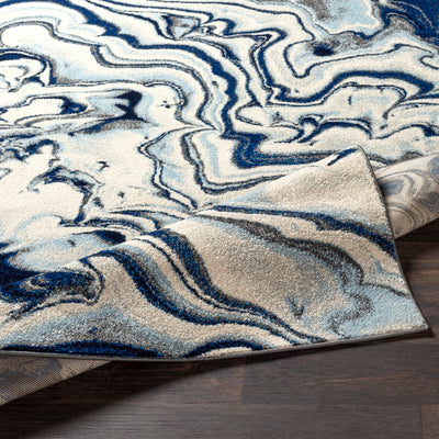 Surya Chelsea CSA-2320 Blue Area Rug by LIVABLISS