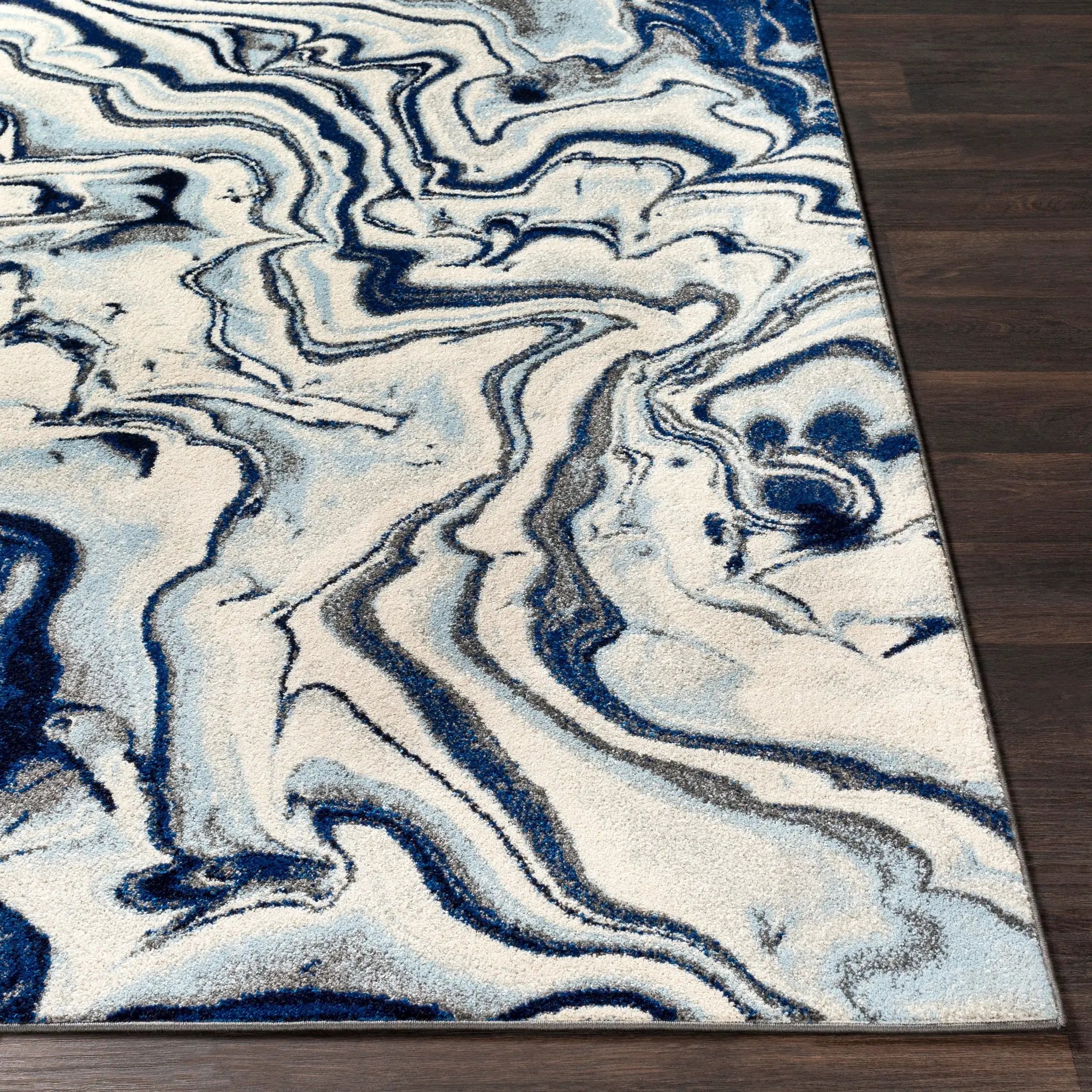 Chelsea CSA-2320 Blue Area Rug by LIVABLISS