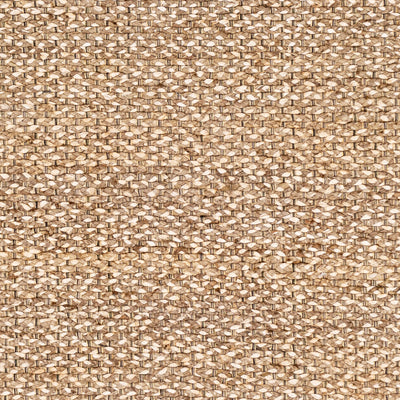LIVABLISS Curacao CUR-2301 Area Rug
