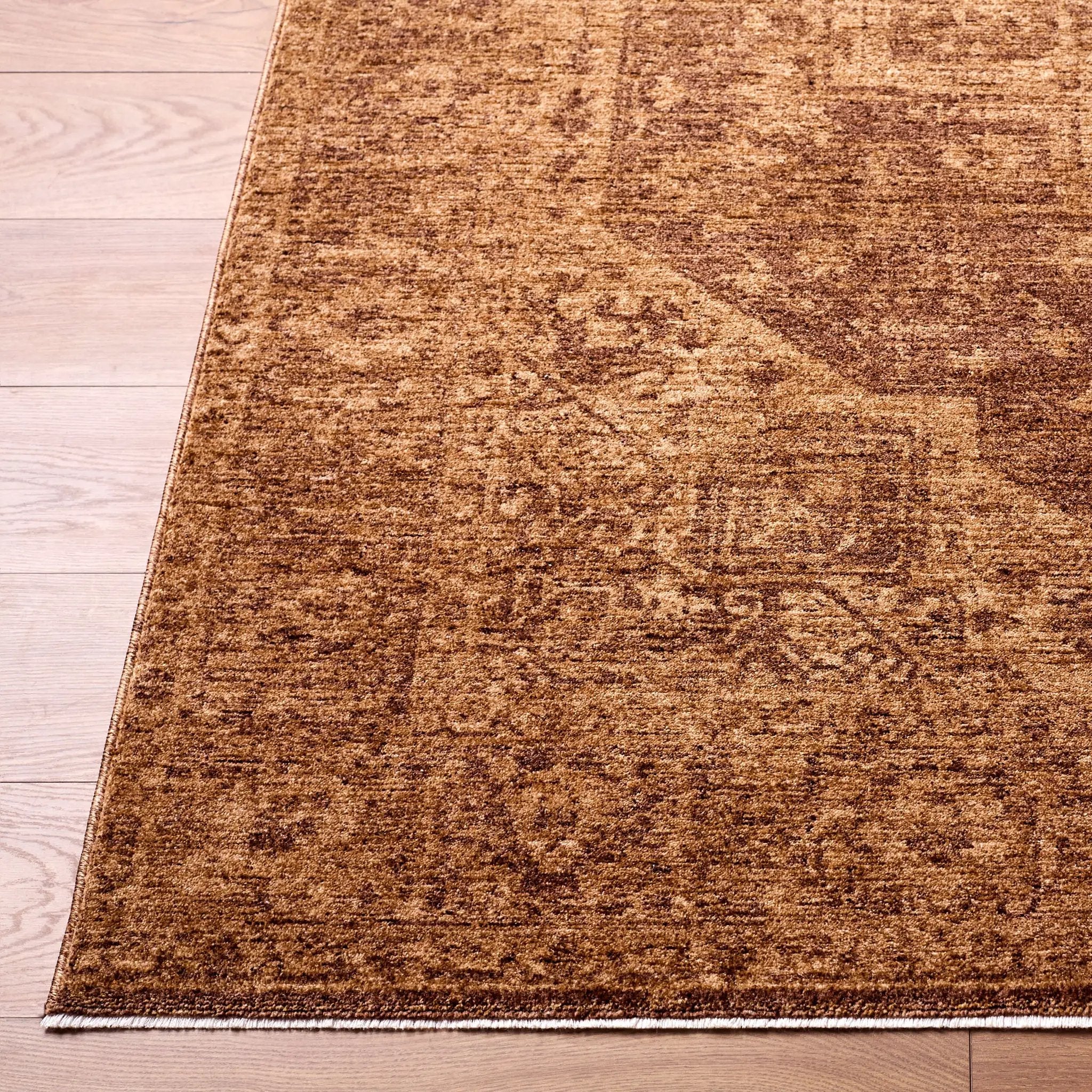 Cyrus CYR-2300 Brown Area Rug by LIVABLISS
