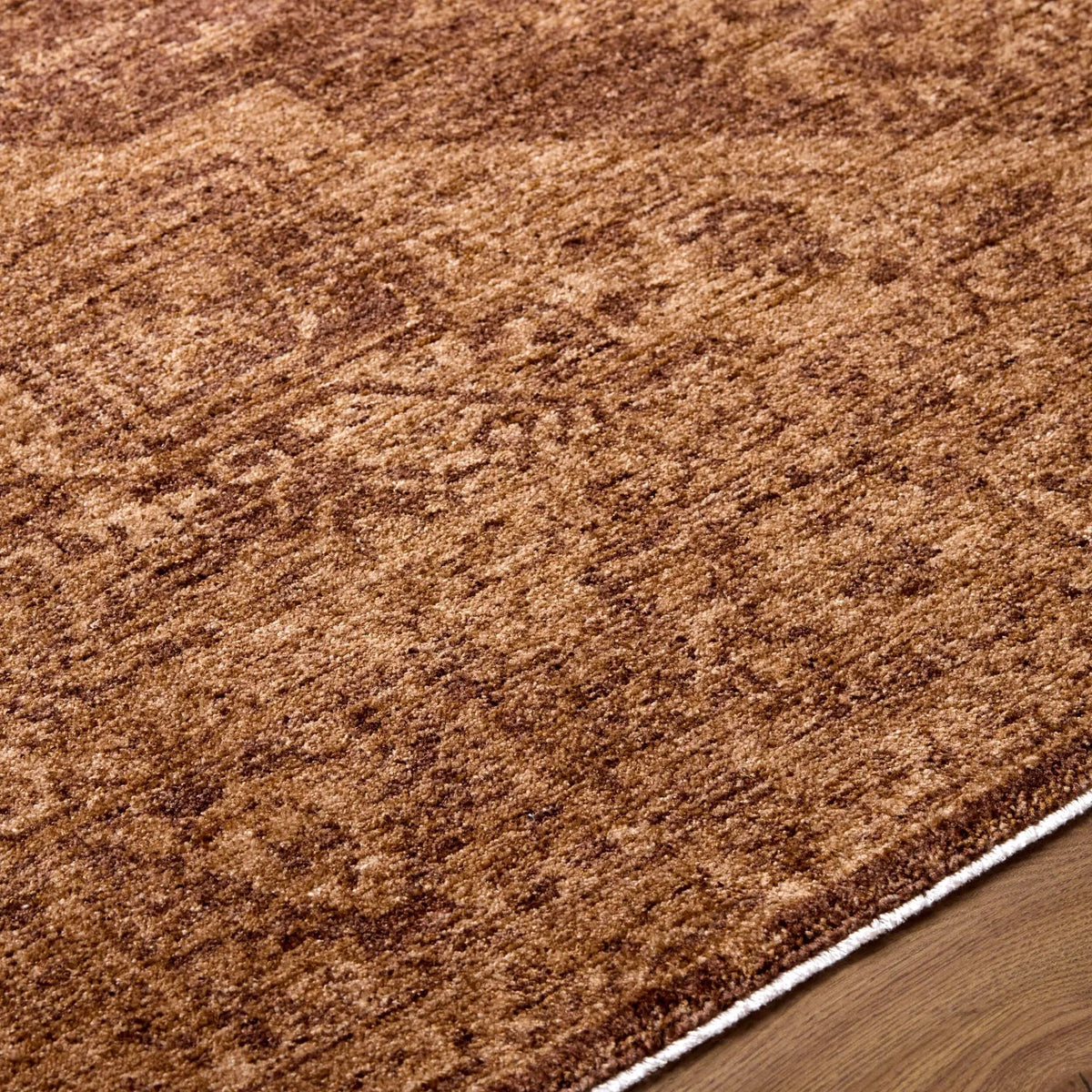 Cyrus CYR-2300 Brown Area Rug by LIVABLISS