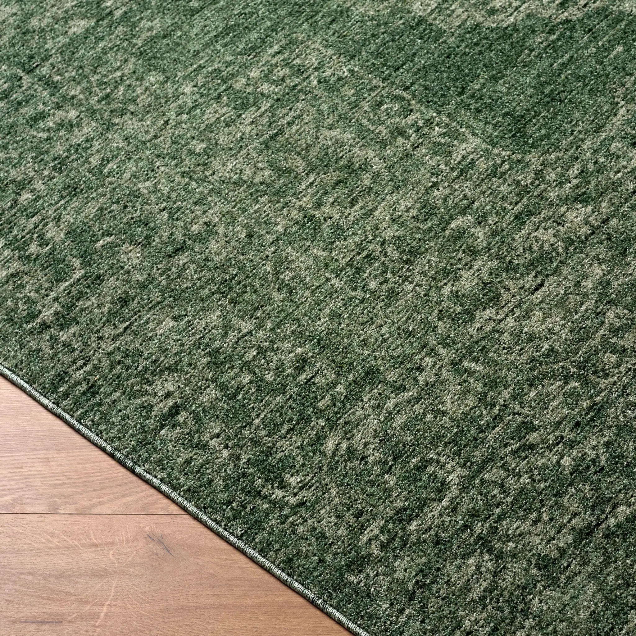 Cyrus CYR-2303 Sage Area Rug by LIVABLISS