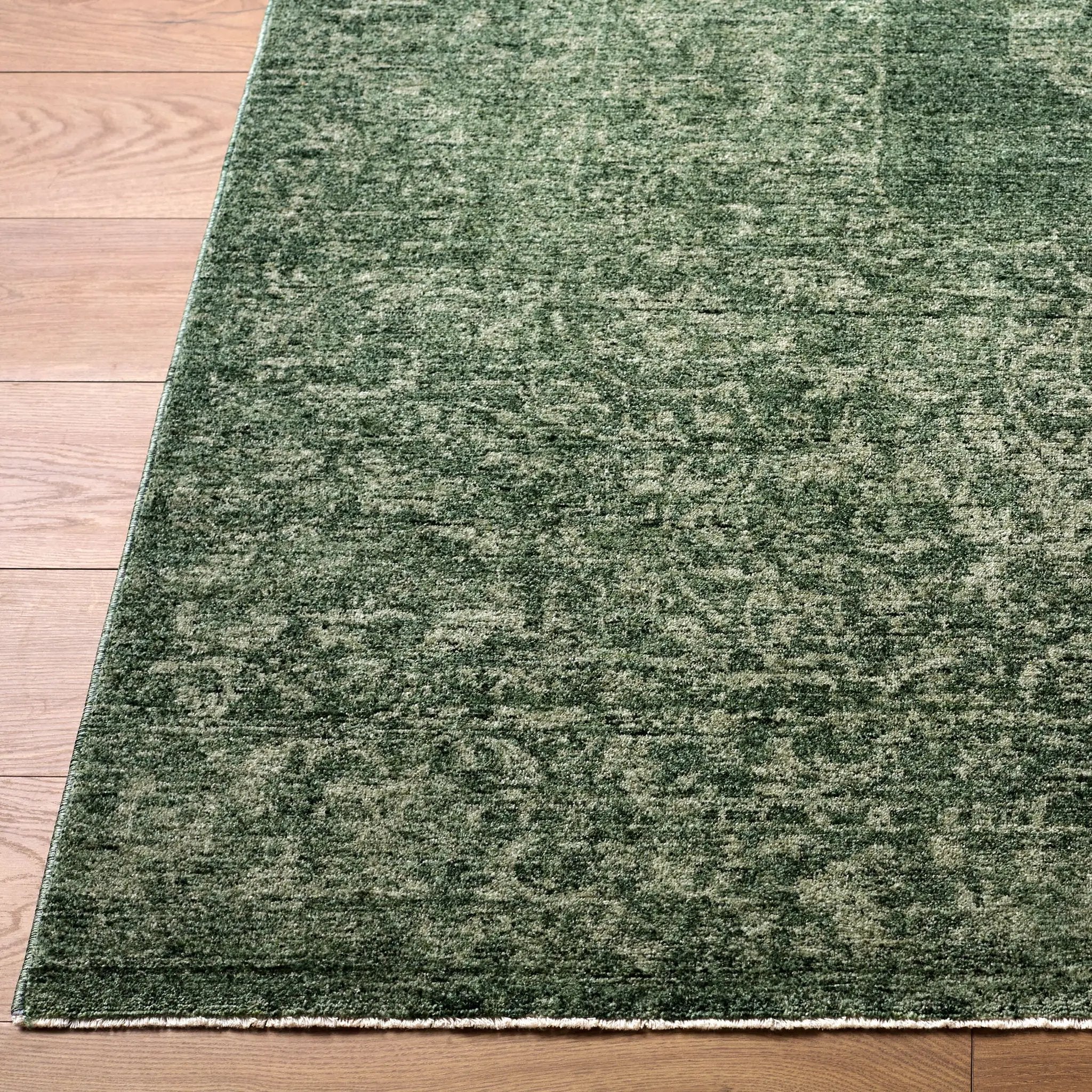 Cyrus CYR-2303 Sage Area Rug by LIVABLISS