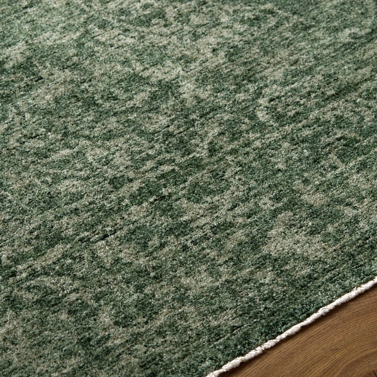Cyrus CYR-2303 Sage Area Rug by LIVABLISS