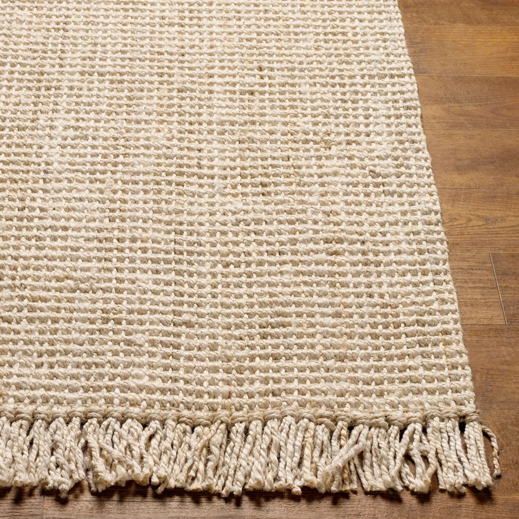 Chunky Naturals CYT-2301 Beige Area Rug by LIVABLISS