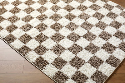 LIVABLISS Czechia CZE-2301 Charcoal Area Rug