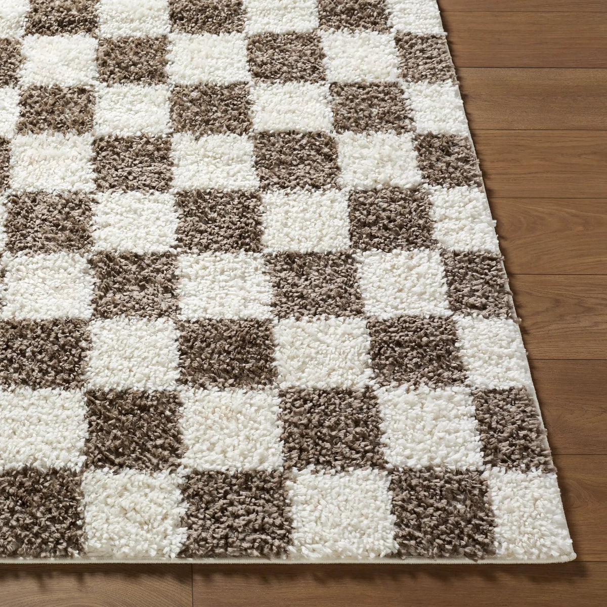 LIVABLISS Czechia CZE-2301 Charcoal Area Rug