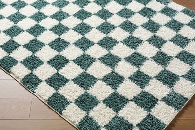 LIVABLISS Czechia CZE-2303 Deep-Teal Area Rug