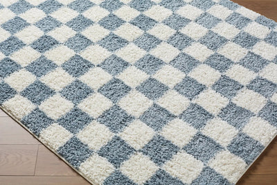 LIVABLISS Czechia CZE-2304 Medium-Gray Area Rug