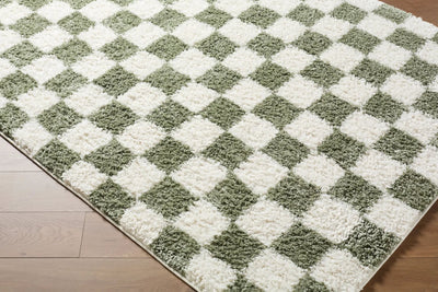 LIVABLISS Czechia CZE-2305 Olive Area Rug