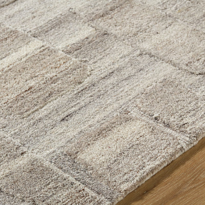LIVABLISS Dundee DDU-2303 Area Rug