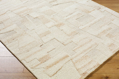 Surya Dundee DDU-2305 Ivory Area Rug by LIVABLISS