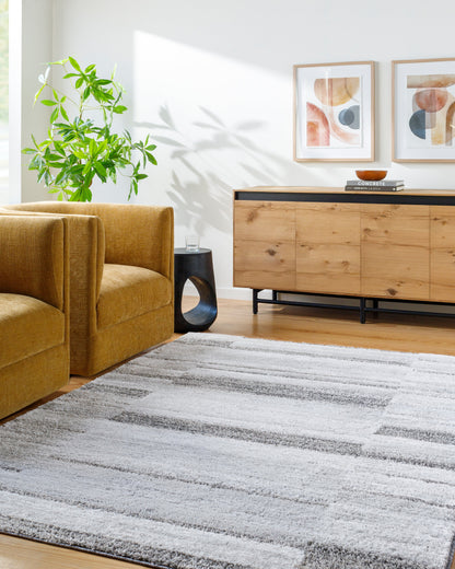 Surya Delight Shag DEL-2308 Light Slate Area Rug by LIVABLISS