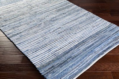 Surya Denim DNM-1001 Blue Area Rug by LIVABLISS