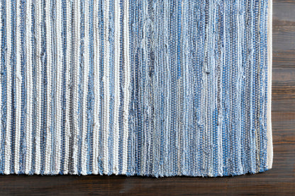 Surya Denim DNM-1001 Blue Area Rug by LIVABLISS