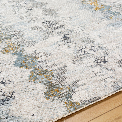 Surya Dresden DRE-2303 Off-White Area Rug by LIVABLISS