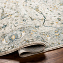 LIVABLISS Dresden DRE-2309 Area Rug