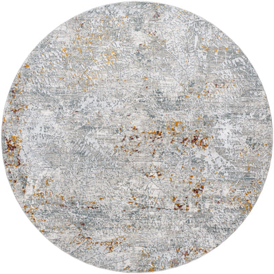 Surya Dresden DRE-2314 Gray Area Rug by LIVABLISS